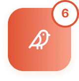 White bird icon on an orange gradient background