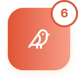 White bird icon on an orange gradient background